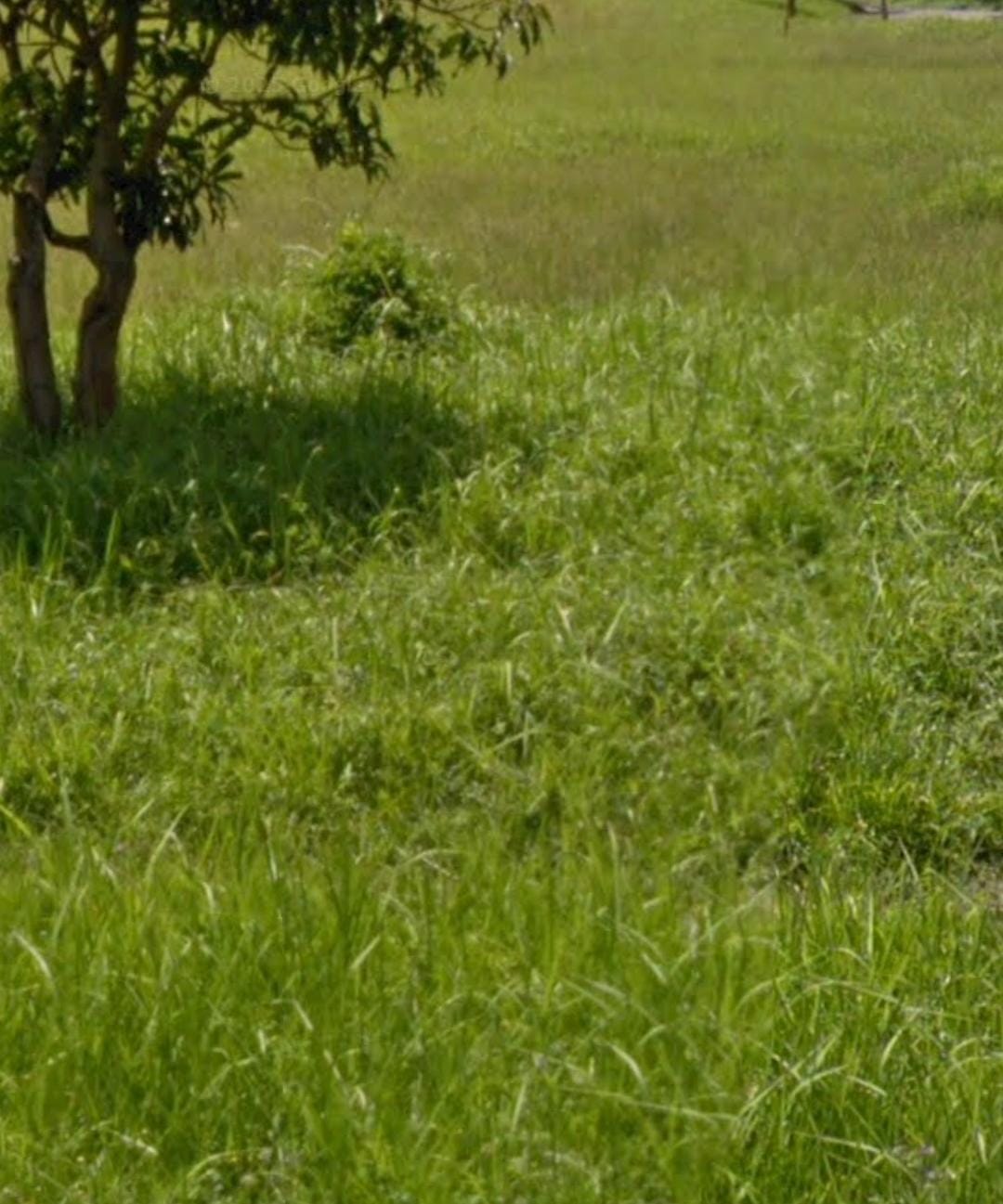 Diual Tanah Kavling Strategis 2 Jejer Raya Water Front Lokasi Istimewa Citraland Surabaya - Image 1