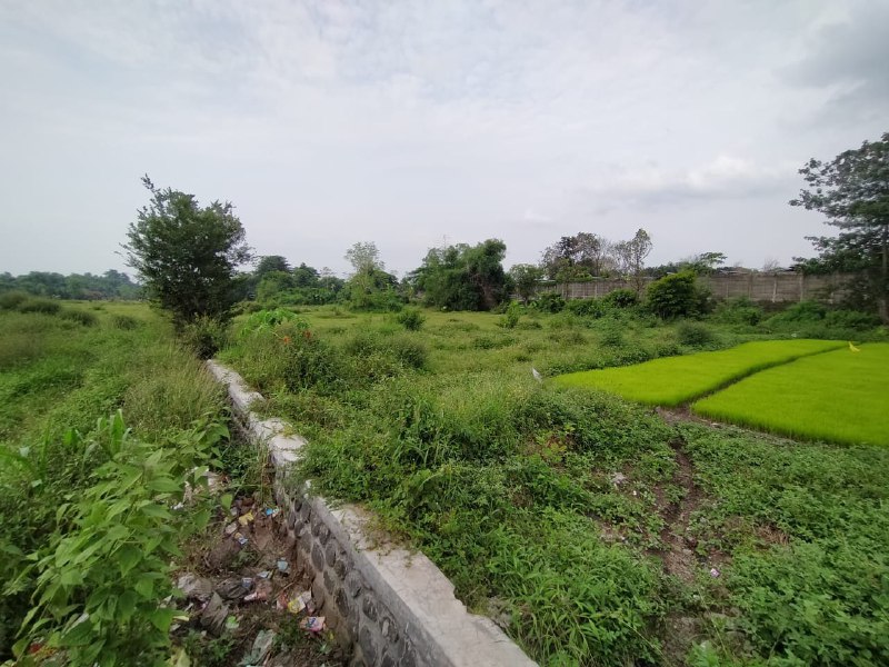 Dijual Tanah Luas Strategis di Dukuhsari Sukorejo Pasuruan - Thumbnail 2