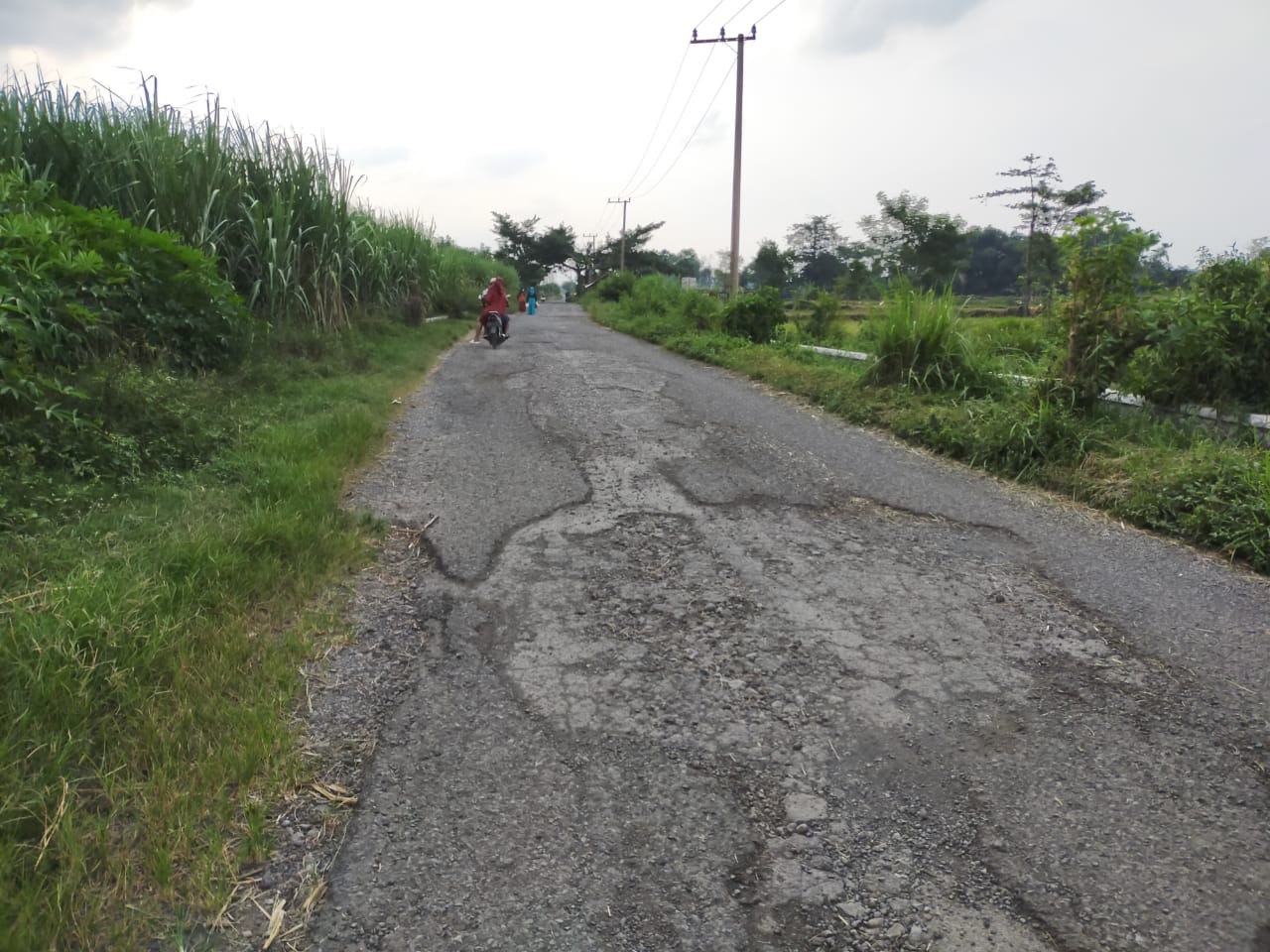 Dijual Tanah Luas Strategis di Dukuhsari Sukorejo Pasuruan - Thumbnail 3