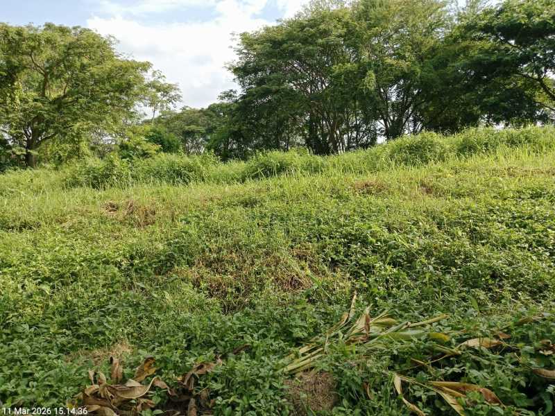 Dijual Tanah Langka View Golf dan Strategis di Bukit Golf Internasional Citraland Surabaya Barat - Thumbnail 2