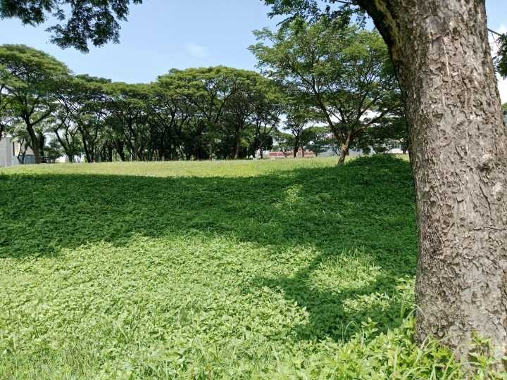 Dijual Tanah Kavling Komersial Strategis di Bukit Telaga Golf Citraland Surabaya Barat - Thumbnail 2