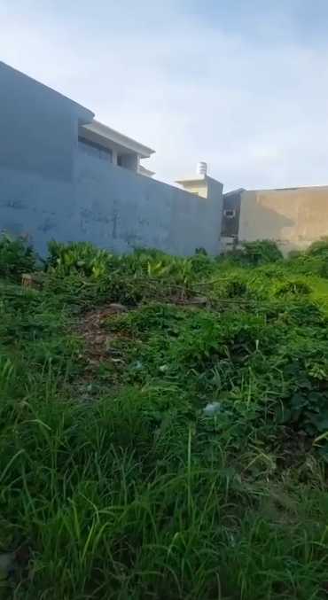 Dijual Tanah Strategis di Jalan Raya Gading Pantai Dukuh Sutorejo Surabaya Timur - Thumbnail 2