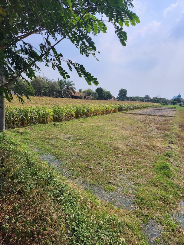 Dijual Tanah Luas Strategis di Bypass Banjar Agung Puri Mojokerto - Thumbnail 2