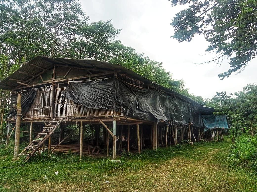 Dijual Rumah dan Kandang Ayam Luas Strategis di Dusun Ngemplak Krandang Kediri - Thumbnail 3