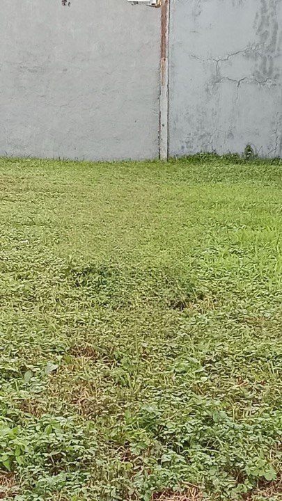 Dijual Cepat Tanah Citraland Royal Park Surabaya Barat (bbag) - Image 1