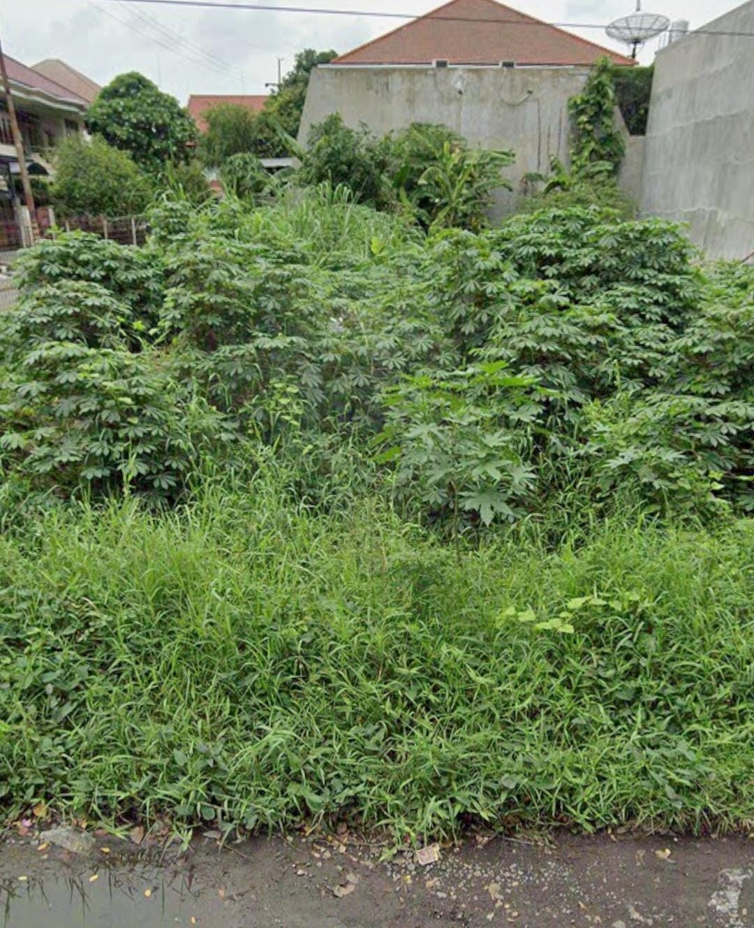 Dijual Kavling Premium Dharmahusada Lokasi Strategis Surabaya Timur - Image 1