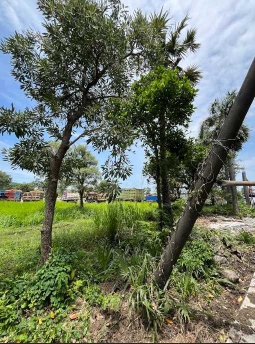 Dijual Lahan Tanah Industri Luas Strategis di Jalan Raya Tridarma Gresik - Thumbnail 6