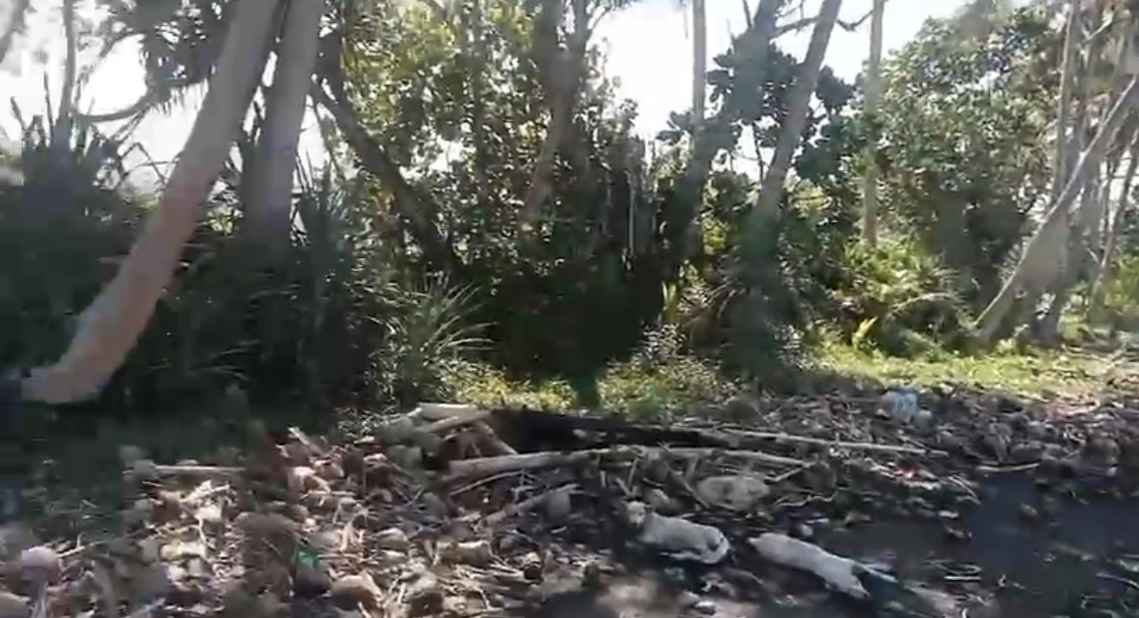 Dijual/Disewakan Strategis Lahan Nol Jalan Provinsi di Jalan Raya Denpasar Bali - Thumbnail 4