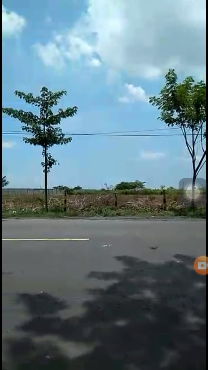 Dijual Tanah Industri Strategis Nol Jalan di Tuban - Thumbnail 4