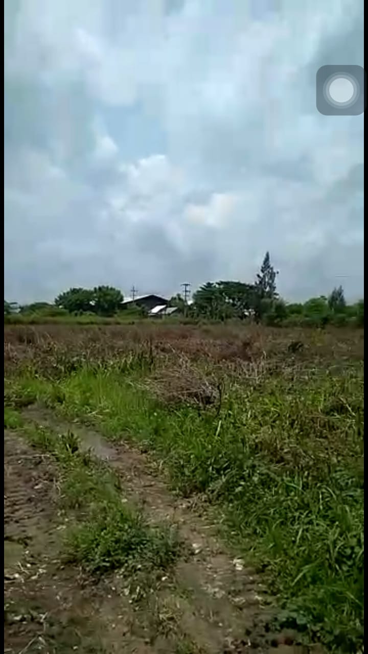 Dijual Tanah Industri Strategis Nol Jalan di Tuban - Thumbnail 5
