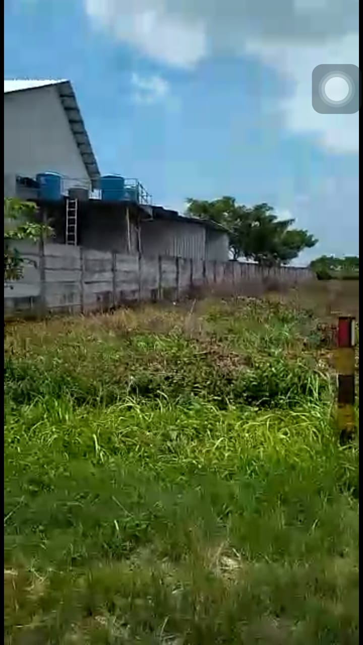 Dijual Tanah Industri Strategis Nol Jalan di Tuban - Thumbnail 7