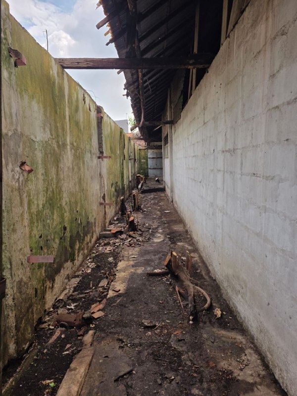 Disewakan Gudang Luas Strategis di Jalan Raya Ngaglik Surabaya Timur - Thumbnail 6