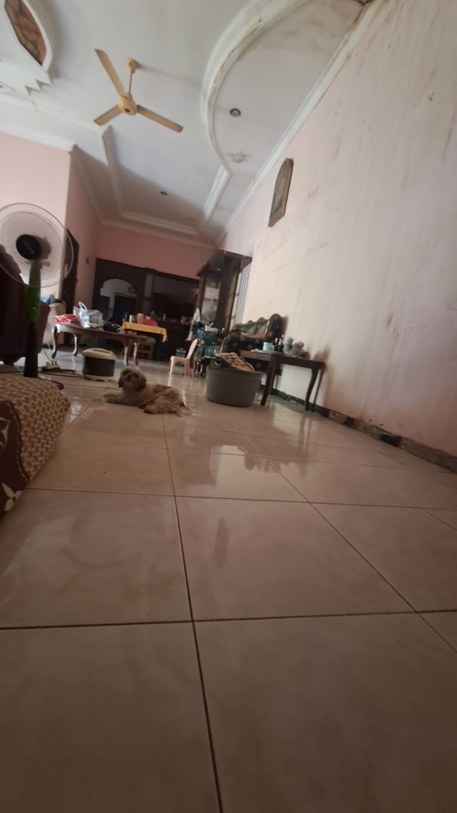 Dijual Rumah Nol Jalan Cocok Untuk Usaha Raya Dukuh Kapasan Sambikerep Surabaya Barat - Thumbnail 2