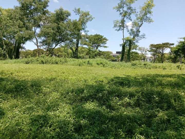 Dijual Tanah Kavling Termurah di Bukit Golf International Golf View Citraland Surabaya Barat - Thumbnail 2