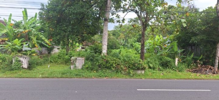 Dijual Tanah Strategis di Jalan Dusun Nglembu Trenggalek - Thumbnail 2
