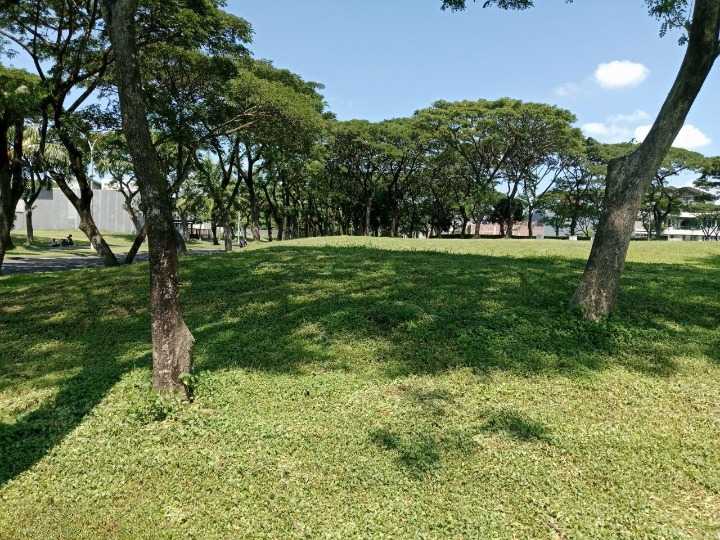 Disewakan Tanah Komersial di Kawasan Premium di Telaga Utama Citraland Surabaya Barat - Image 1