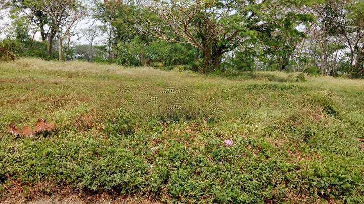 Dijual Kavling Strategis Citraland Bukit Golf Internasional Lokasi Golf View Surabaya Barat - Image 1