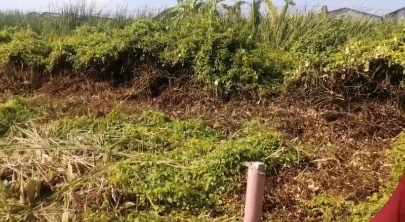 Dijual Tanah Kavling Strategis di Jalan Wonorejo Selatan Surabaya Timur - Thumbnail 2