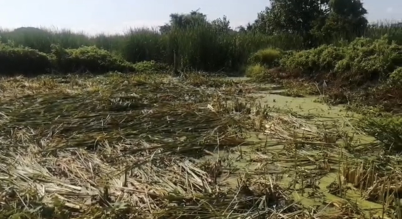 Dijual Tanah Kavling Strategis di Jalan Wonorejo Selatan Surabaya Timur - Thumbnail 3