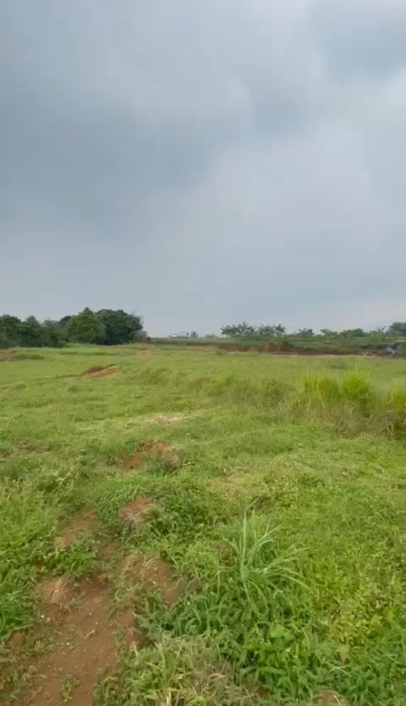 Dijual Tanah Luas Strategis di Jalan Raya Pondok Bitung Sukaharja Bogor - Thumbnail 3