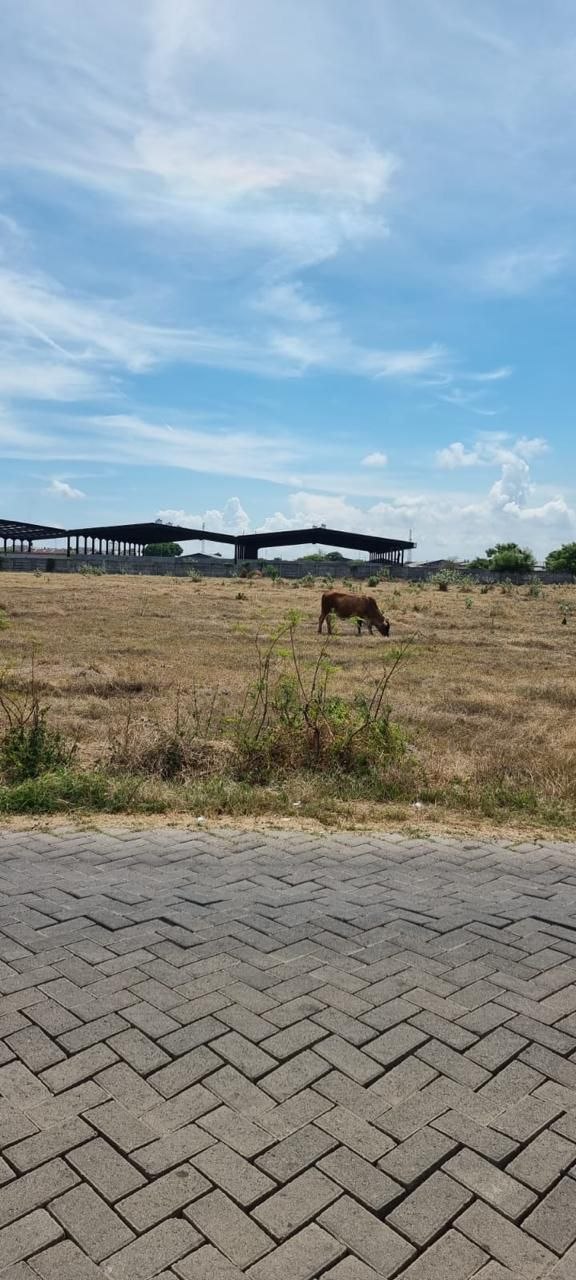 Dijual Lahan Industri Luas Strategis di Dusun Pejawan Gerongan Kraton Pasuruan - Thumbnail 2